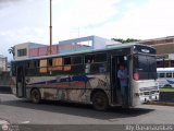 CA - Unin Campo Carabobo 092, por Aly Baranauskas