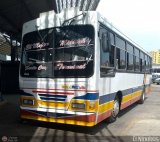 Colectivo San Rafael (El Mojn) 16, por El Niobs