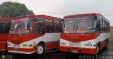 Transporte Privado Joaranny 199, por Anthony Espinoza