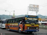 Transporte Bonanza 0036