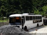 En Chiveras Abandonados Recuperacin 