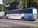 Expresos Bayavamarca 208