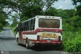 Transporte Colectivo Camag 05