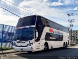 Expresos Occidente 310