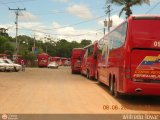 Copa Amrica Las Claritas (Km.88) 01