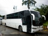 Expresos guilas 3160