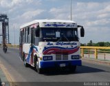 Los Rpidos S.C. 35, por Antonio Mittilo
