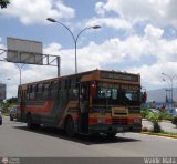 Transporte El Esfuerzo 26