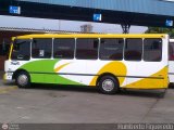 U.C. Serrano Pinto 40