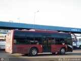 U.C. Serrano Pinto 13