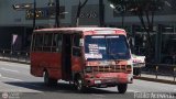 DC - Unin Criollos del Este S.C. 111