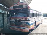 Colectivo San Rafael (El Mojn) 04