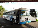 Particular o Transporte de Personal 261