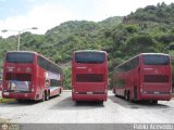 Garajes Paradas y Terminales Caraballeda