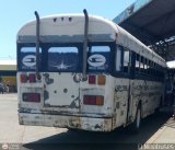 Transporte Interestadal Tica 07, por El Niobuses