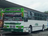Transporte Bonanza 0019