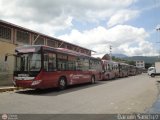 Garajes Paradas y Terminales Valera