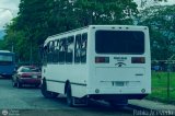 L�nea Altagracia 17 por Pablo Acevedo