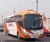 Mvilbus 113 Irizar i6 390 Scania K410