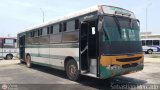 ZU - Colectivos Concepcin 029, por Sebastin Mercado