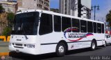Uso Oficial  999, por Waldir Mata