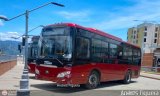 Trolmerida - Tromerca U08-21