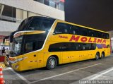 Transportes Molina Per S.A.C. 960