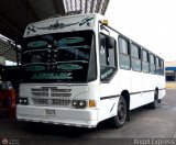 Colectivos La Rosita 011, por Angel Express