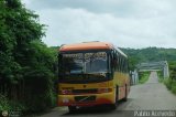 Colectivos Altagracia 11