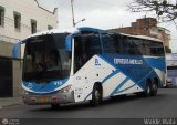 Expresos Amerlujo 418, por Waldir Mata