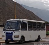 Lnea Los Caracoles (San Juan - Mrida) 03, por Leonardo Saturno