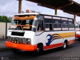 S.C. Lnea Qubor 96 Inbus Urbano PM Ford B-350