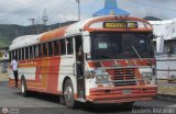 Expresos Gige 26