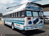 Colectivo Matera Nueva 34, por Sebastin Mercado