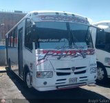 A.C. de Transporte Nmero Uno R.L. 132