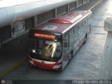 Bus CCS 1311 Yutong ZK6118HGA Integral Cummins ISLe 290Hp