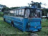 MI - Transporte Colectivo Santa Mara 15, por Alejandro Curvelo