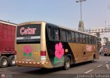 Cetur S.R.L. 951 Comil Campione 3.45 Mercedes-Benz O-500R