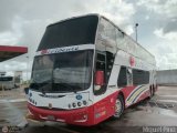 Expresos Occidente 010