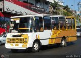 DC - Cooperativa de Transporte Pasajeros del Sur 176 Encava E-410 Chevrolet P30 Americano