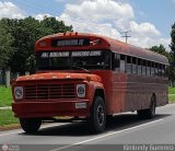 Transporte Palo Negro La Morita 2 104