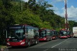 Garajes Paradas y Terminales Petare, por Pablo Acevedo