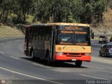 Transporte Unido (VAL - MCY - CCS - SFP) 044