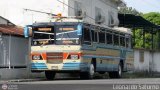 Uso Oficial 900 Marcopolo Veneza International 3100FE