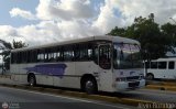 Coop. de Transp. Comunidad de Santa Luca 72, por Alvin Rondn