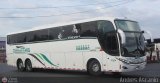 Expresos Del Mar 0214, por Andr�s Ascanio