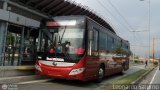 Bus Mrida 12, por Leonardo Saturno