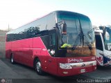 Los Pjaros de Lara 081, por Sebastin Mercado