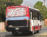 CA - Uni�n Conductores Big Low 53