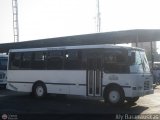 A.C. Transporte Central Morn Coro 019